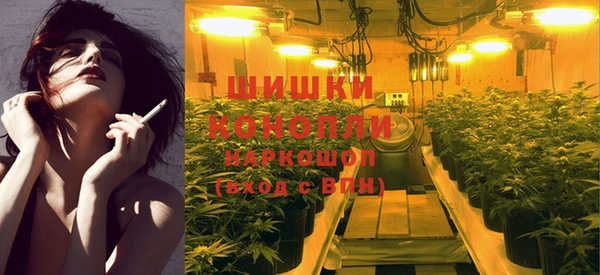 spice Алексин